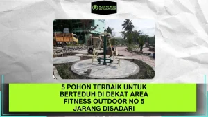 5 Pohon Terbaik untuk Berteduh di Dekat Area Fitness Outdoor No 5 Jarang Disadari